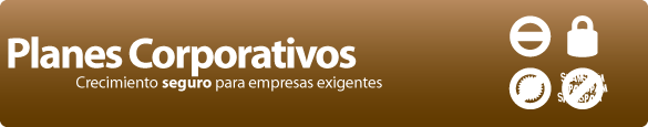 Planes corporativos, lo mejor para su empresa