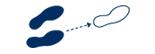 Basico